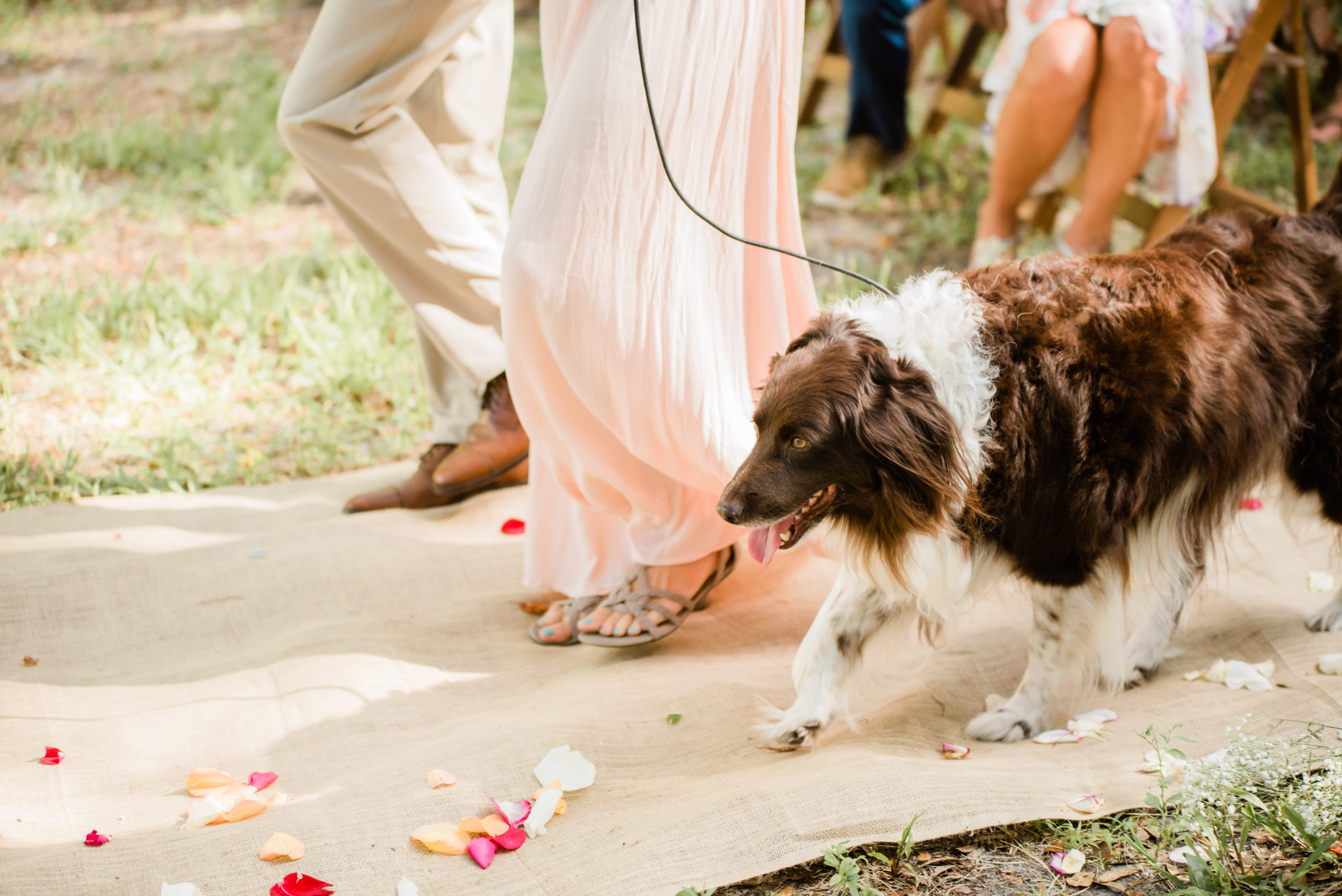 Wedding Ceremony at Rees Lake Spirit of the Suwannee, Live Oak Florida, Black Tie and Co.